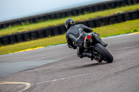 PJ-Motorsport-2019;anglesey-no-limits-trackday;anglesey-photographs;anglesey-trackday-photographs;enduro-digital-images;event-digital-images;eventdigitalimages;no-limits-trackdays;peter-wileman-photography;racing-digital-images;trac-mon;trackday-digital-images;trackday-photos;ty-croes